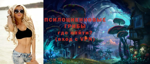 apvp Алексеевка