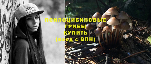 apvp Алексеевка
